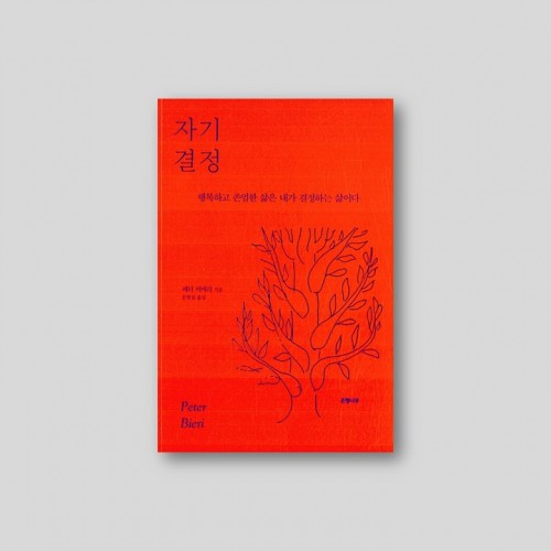자기결정