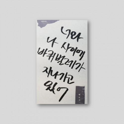 너와 나 사이에 바퀴벌레가 지나가고 있어