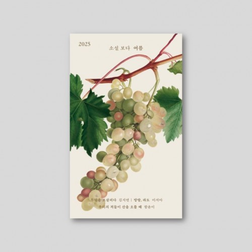 소설 보다 여름 2025